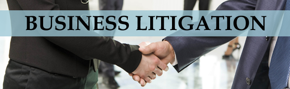 Business Litigation